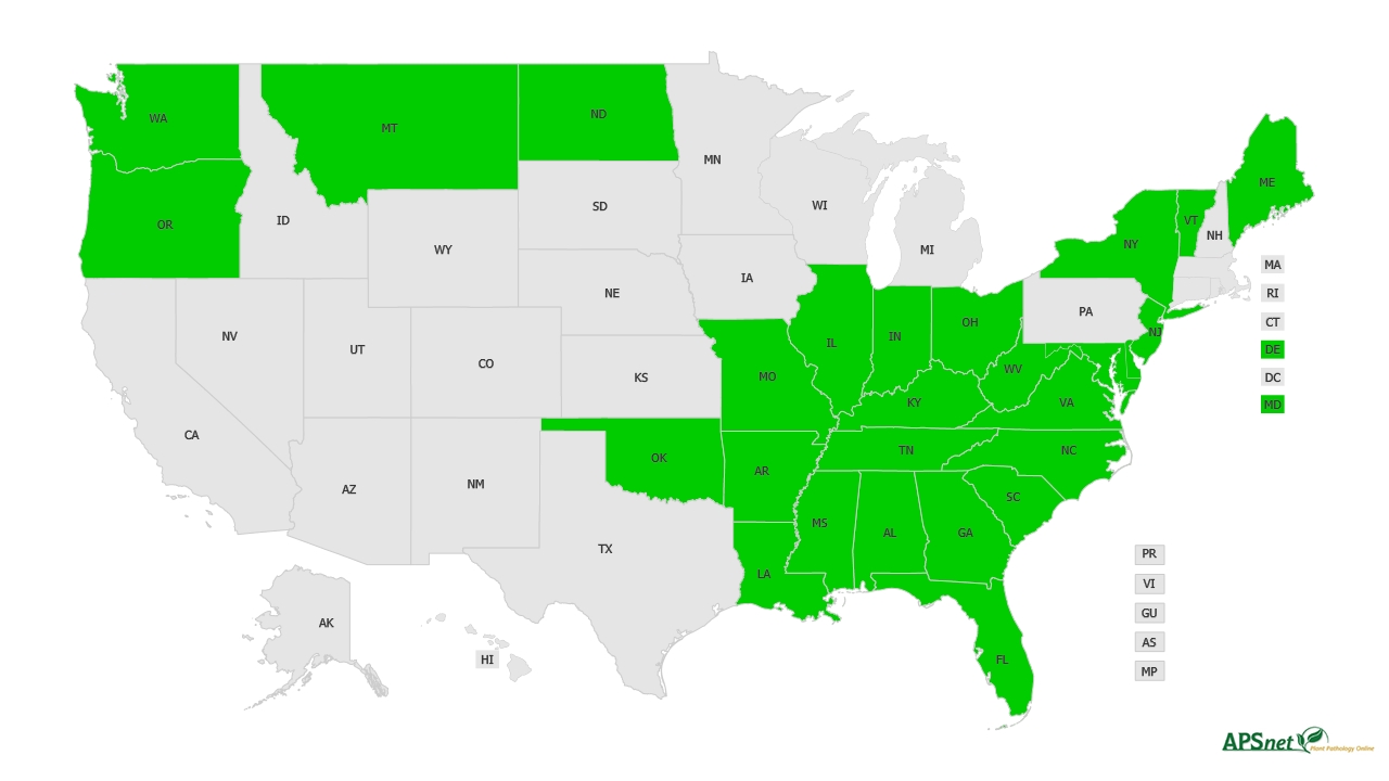 Widely Prevalent Status