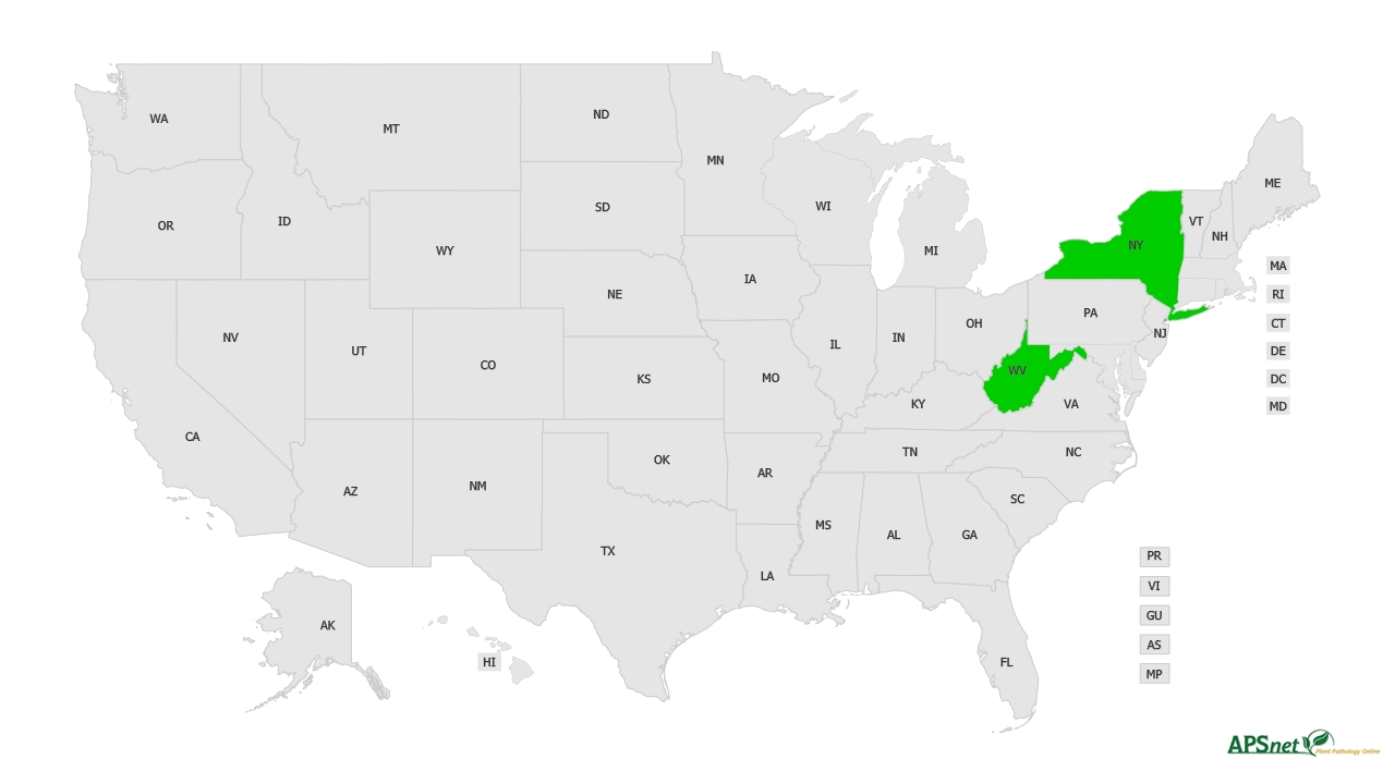 Widely Prevalent Status