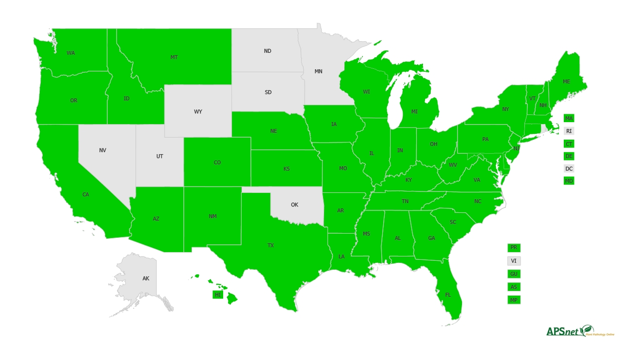 Widely Prevalent Status