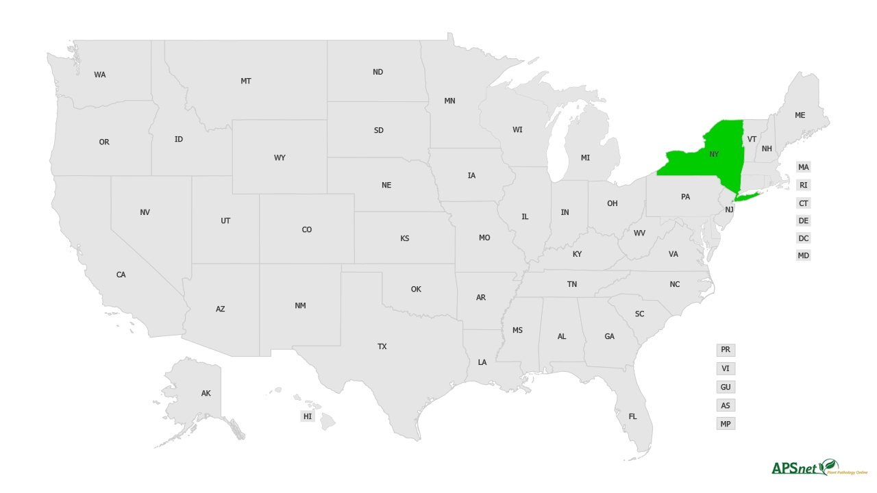 Widely Prevalent Status