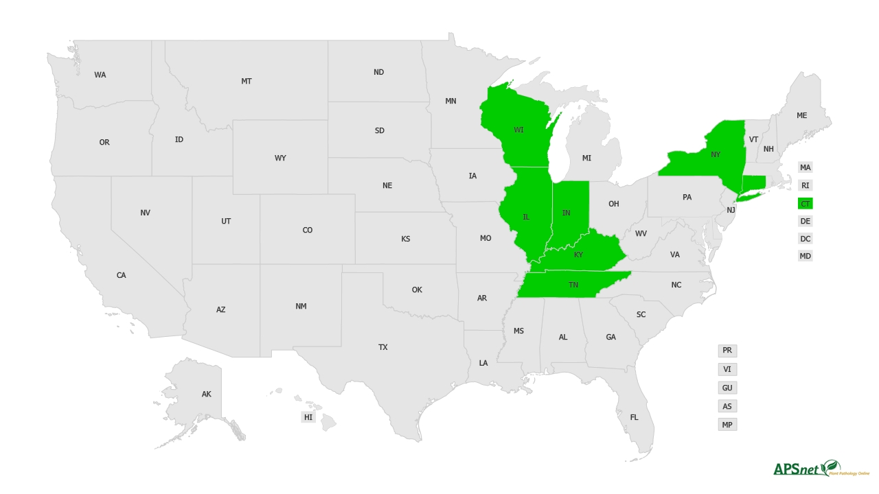 Widely Prevalent Status