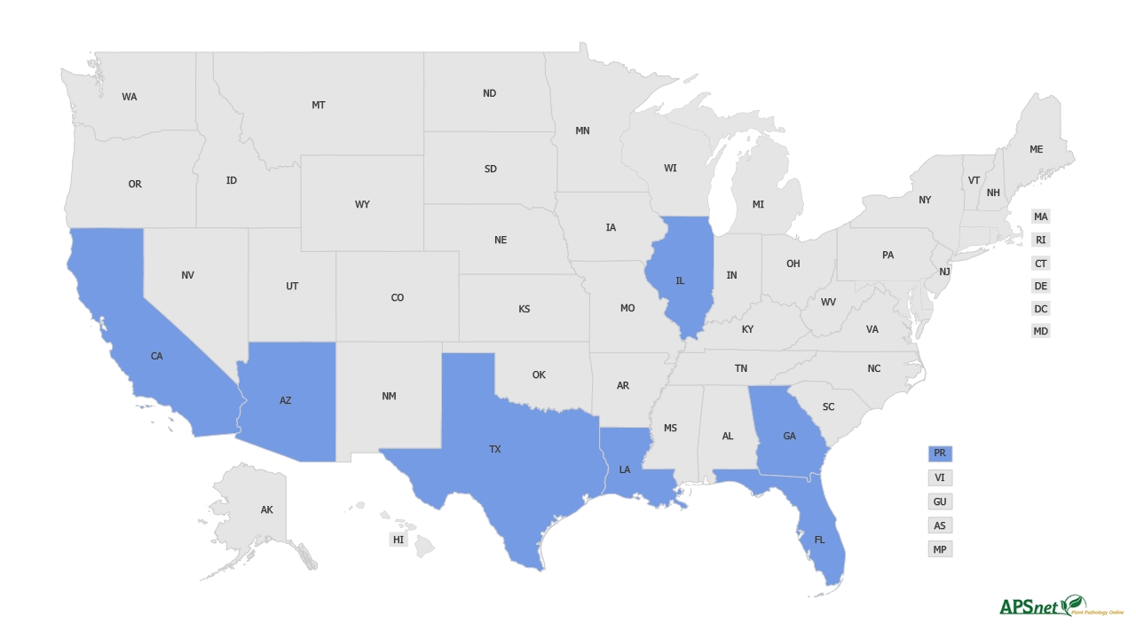 Widely Prevalent Status