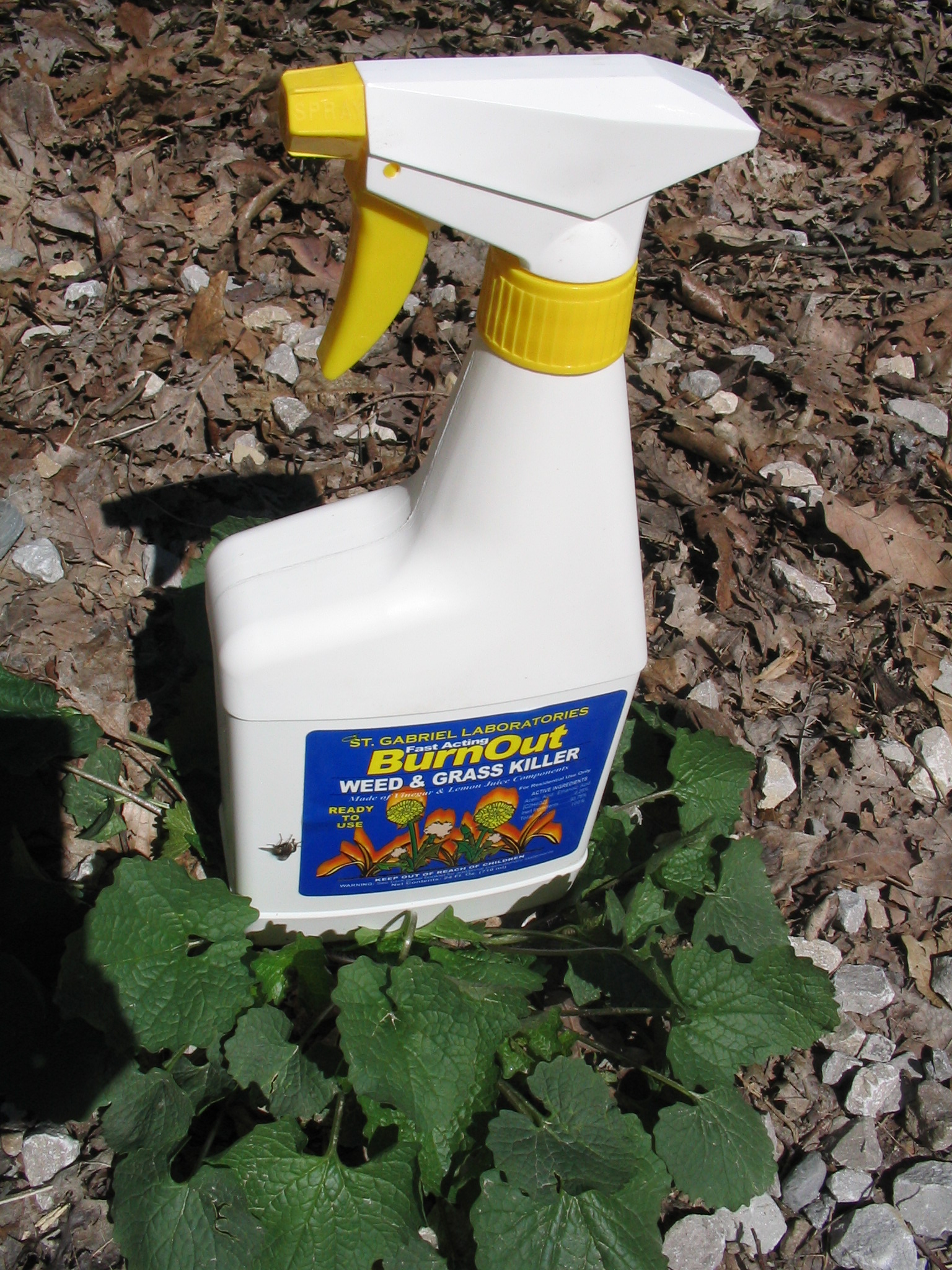 Vinegar Review Midwest Invasive Plant Network