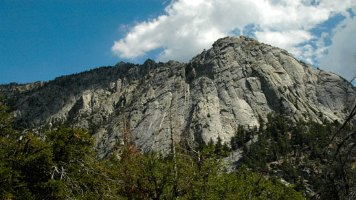 Park Photo