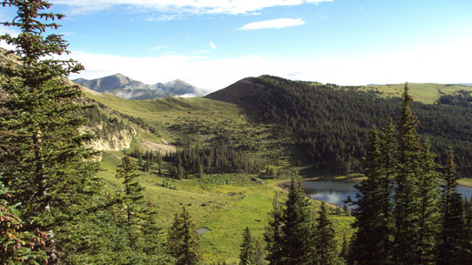 Park Photo