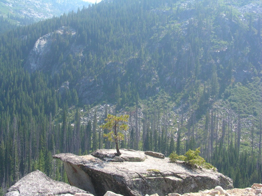 Park Photo