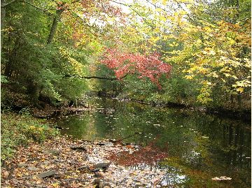 Park Photo