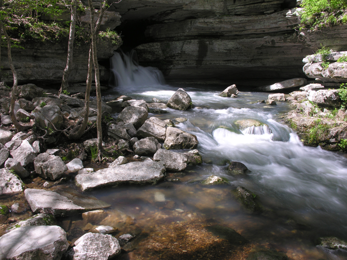 Park Photo
