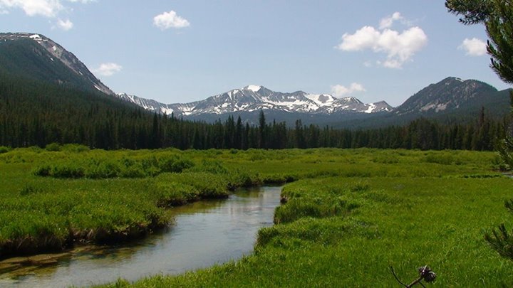 Park Photo