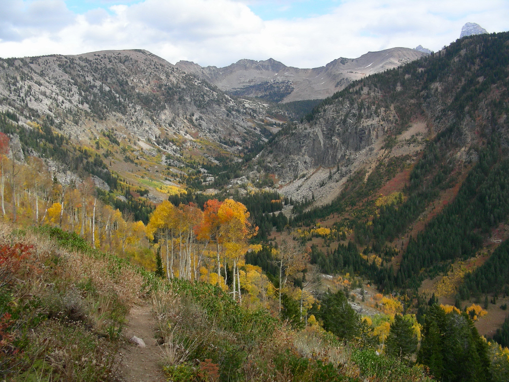 Park Photo