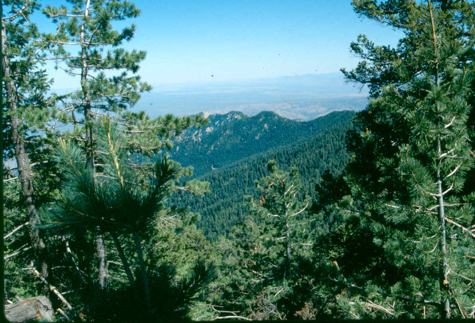 Park Photo