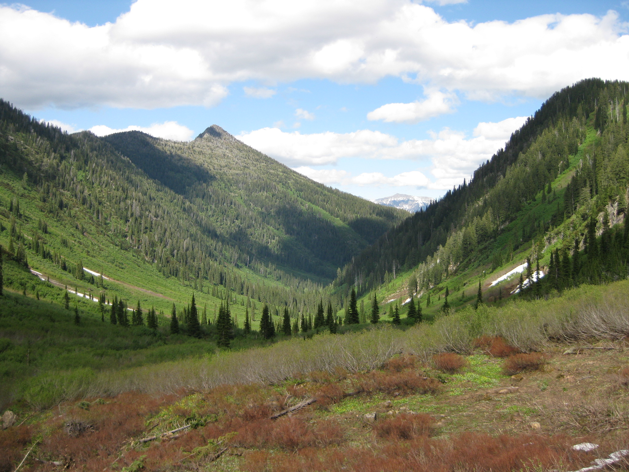 Park Photo