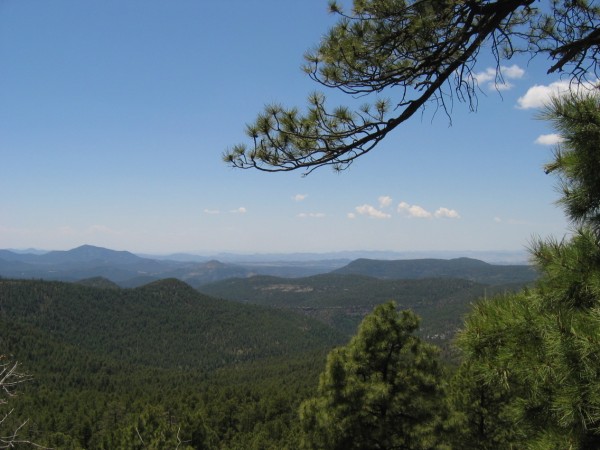 Park Photo