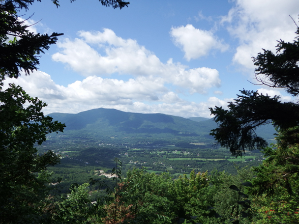Park Photo
