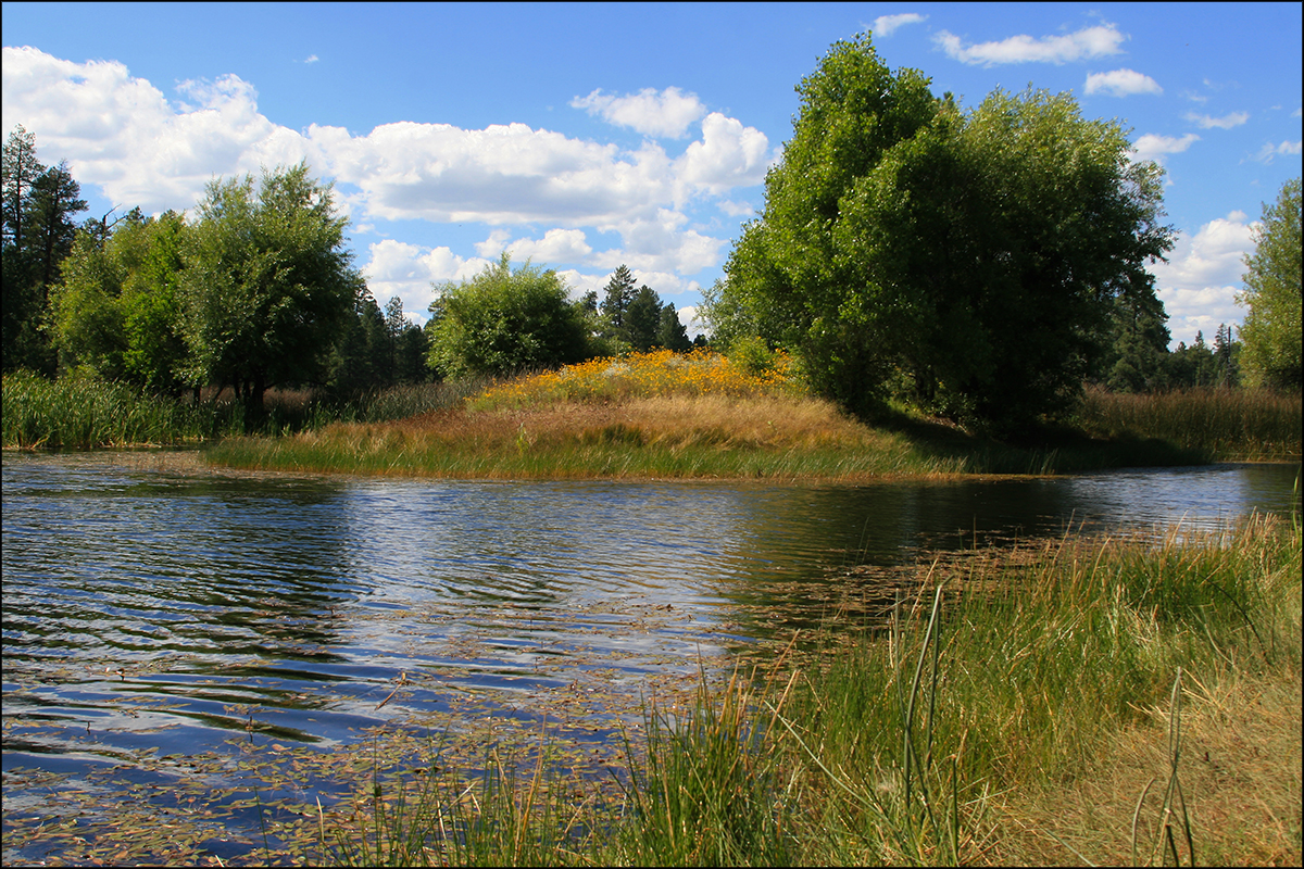 Park Photo