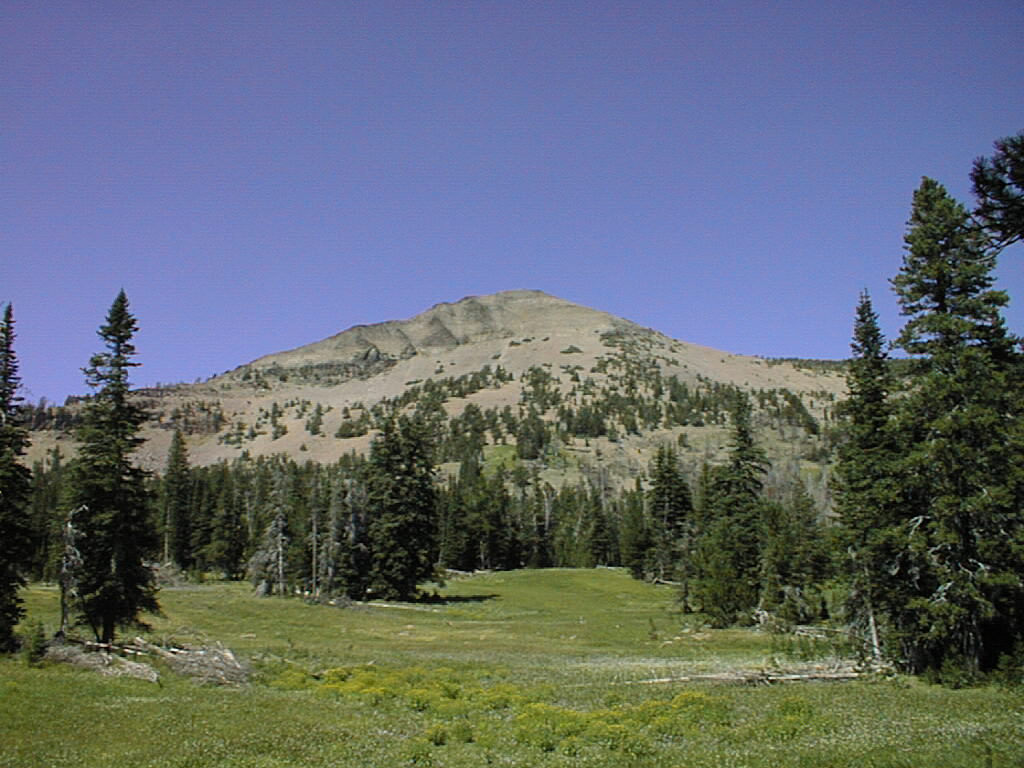 Park Photo