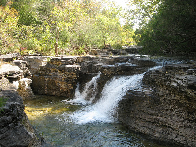 Park Photo
