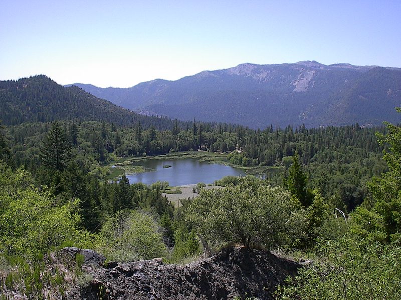 Park Photo