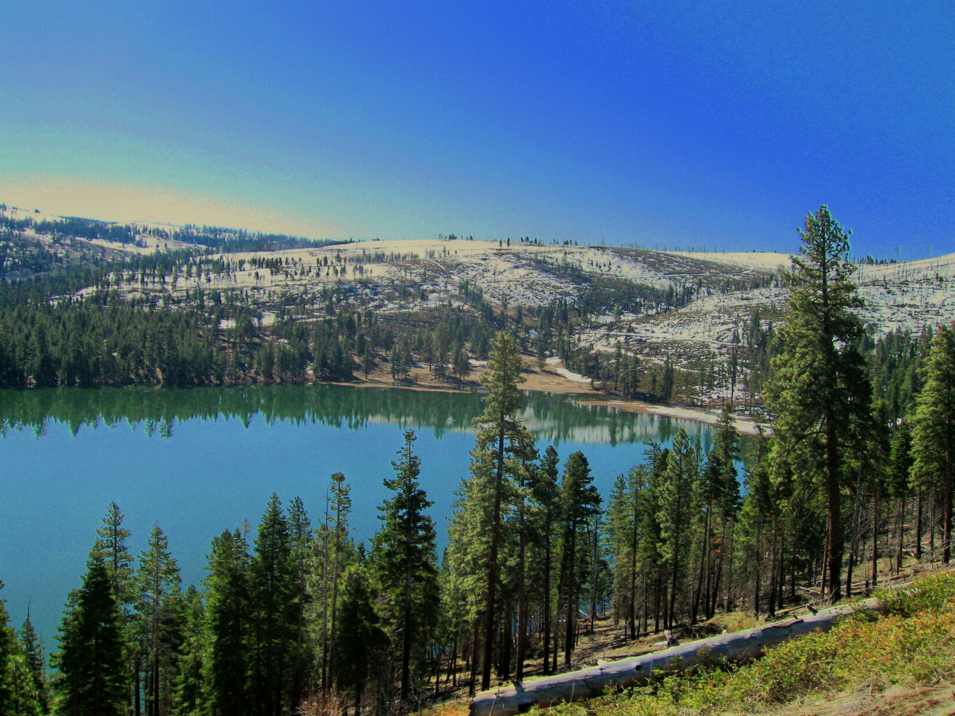 Park Photo