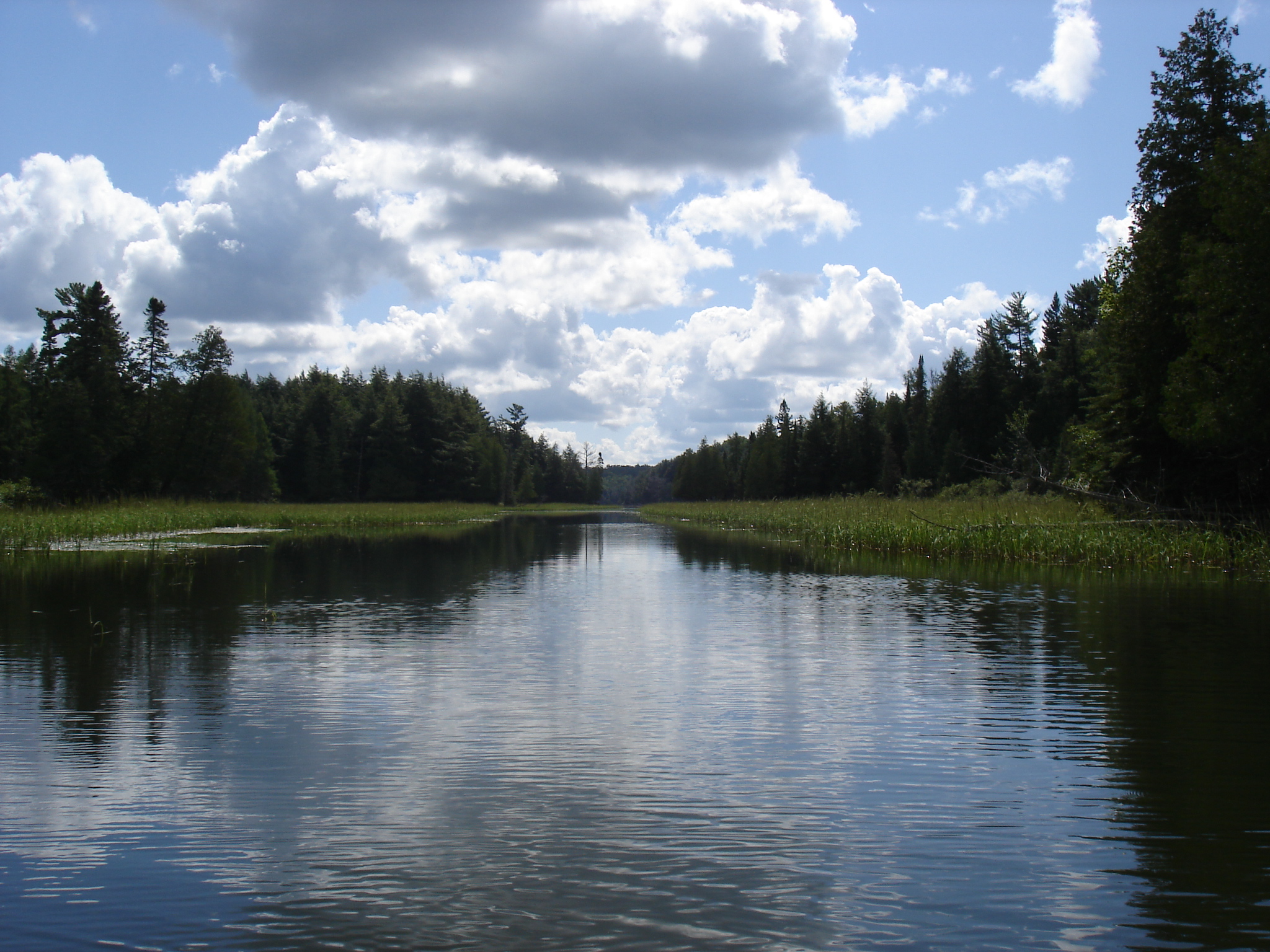 Park Photo