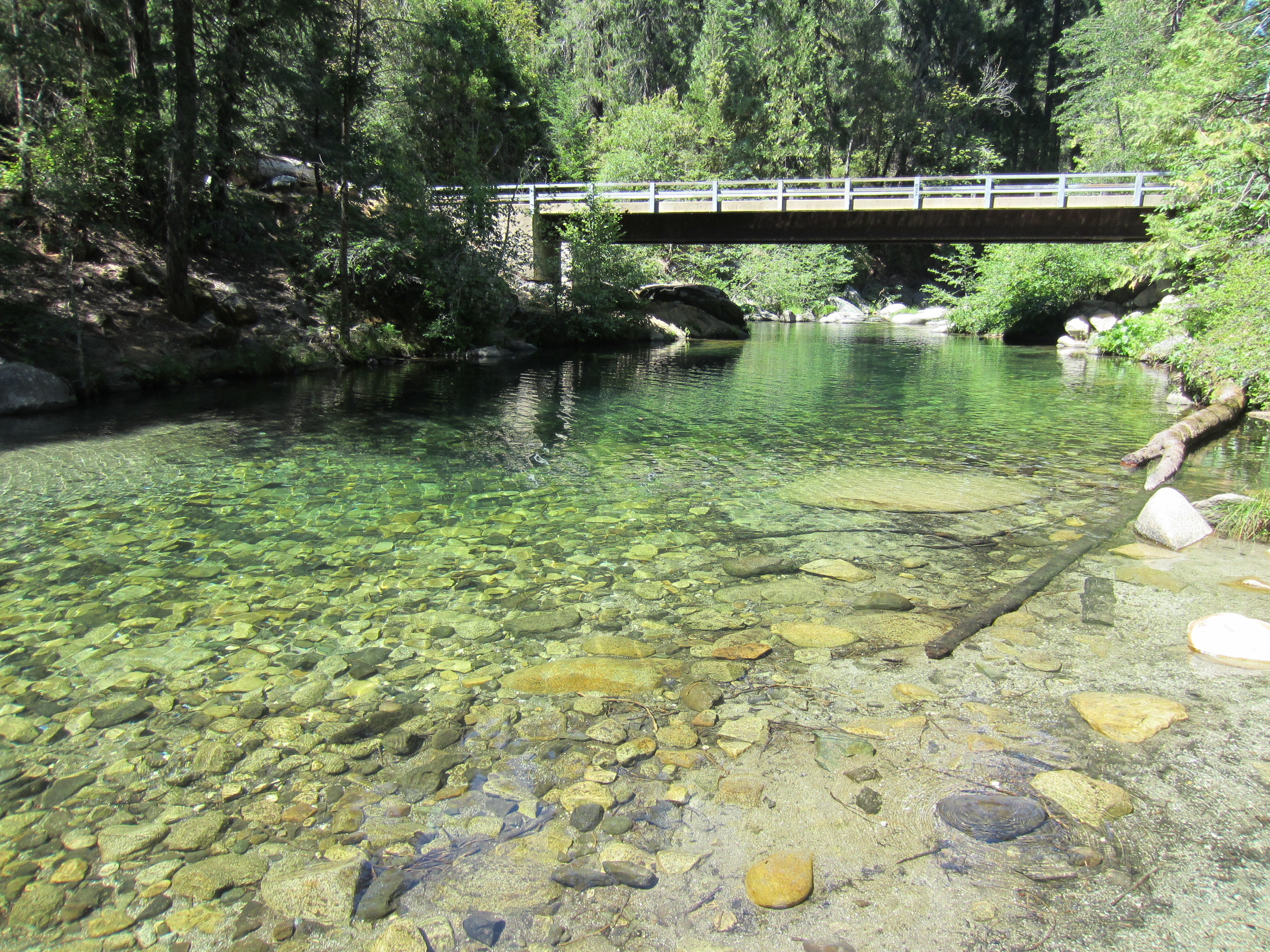 Park Photo