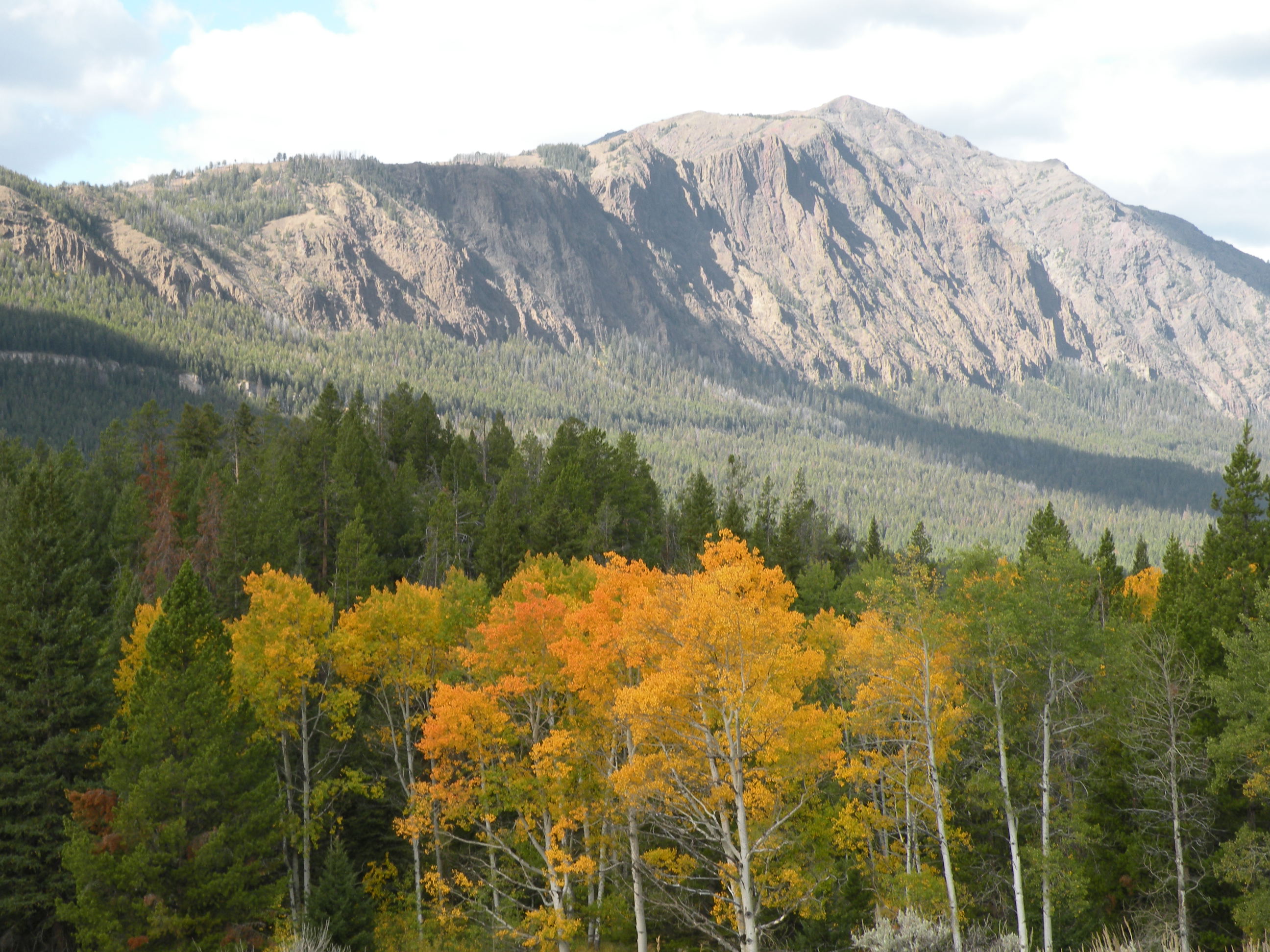 Park Photo