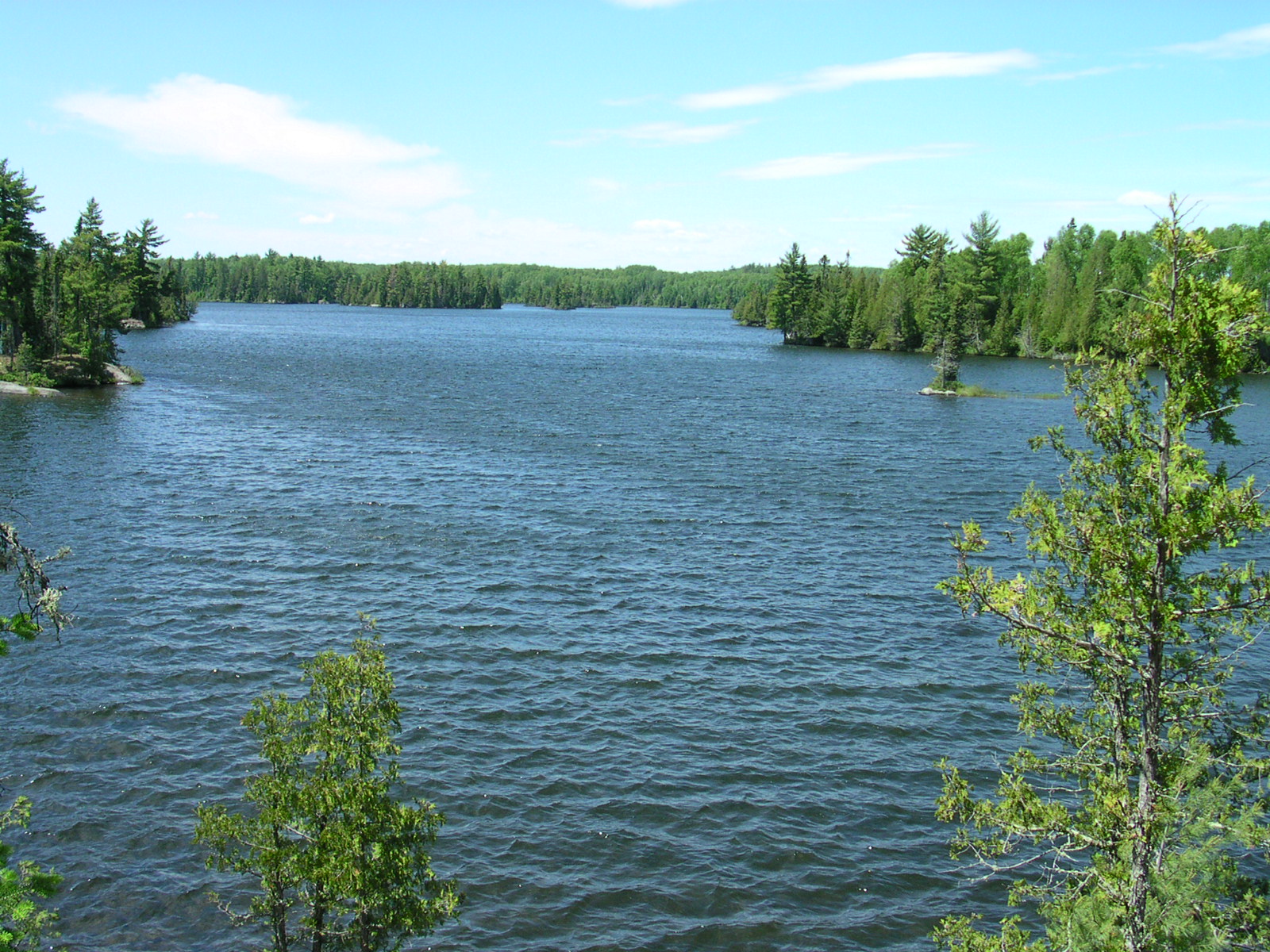 Park Photo