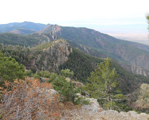 Park Photo