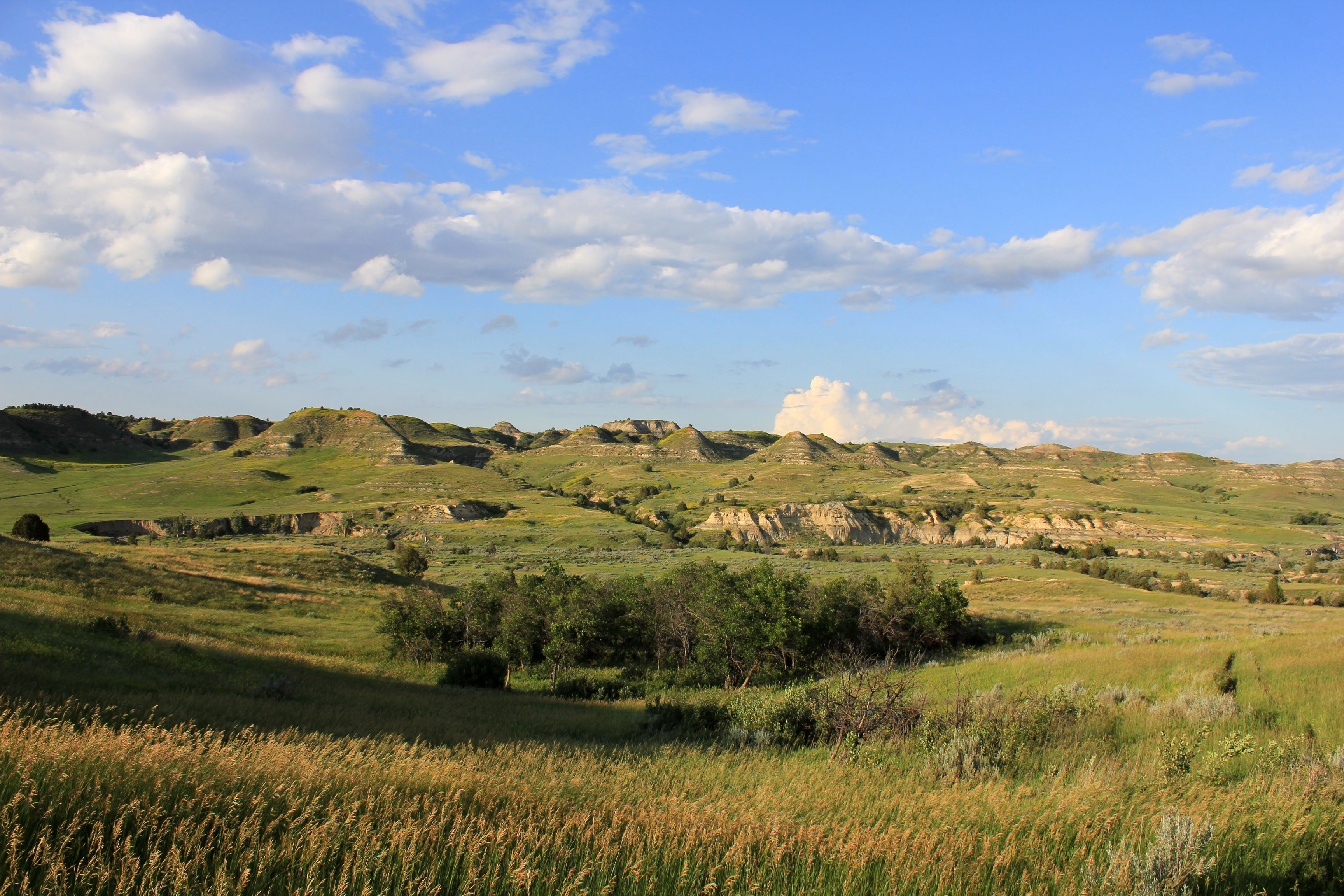 Park Photo