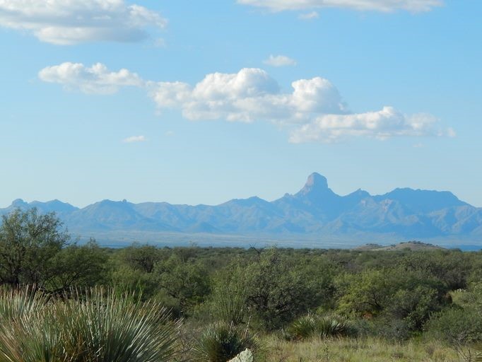Park Photo