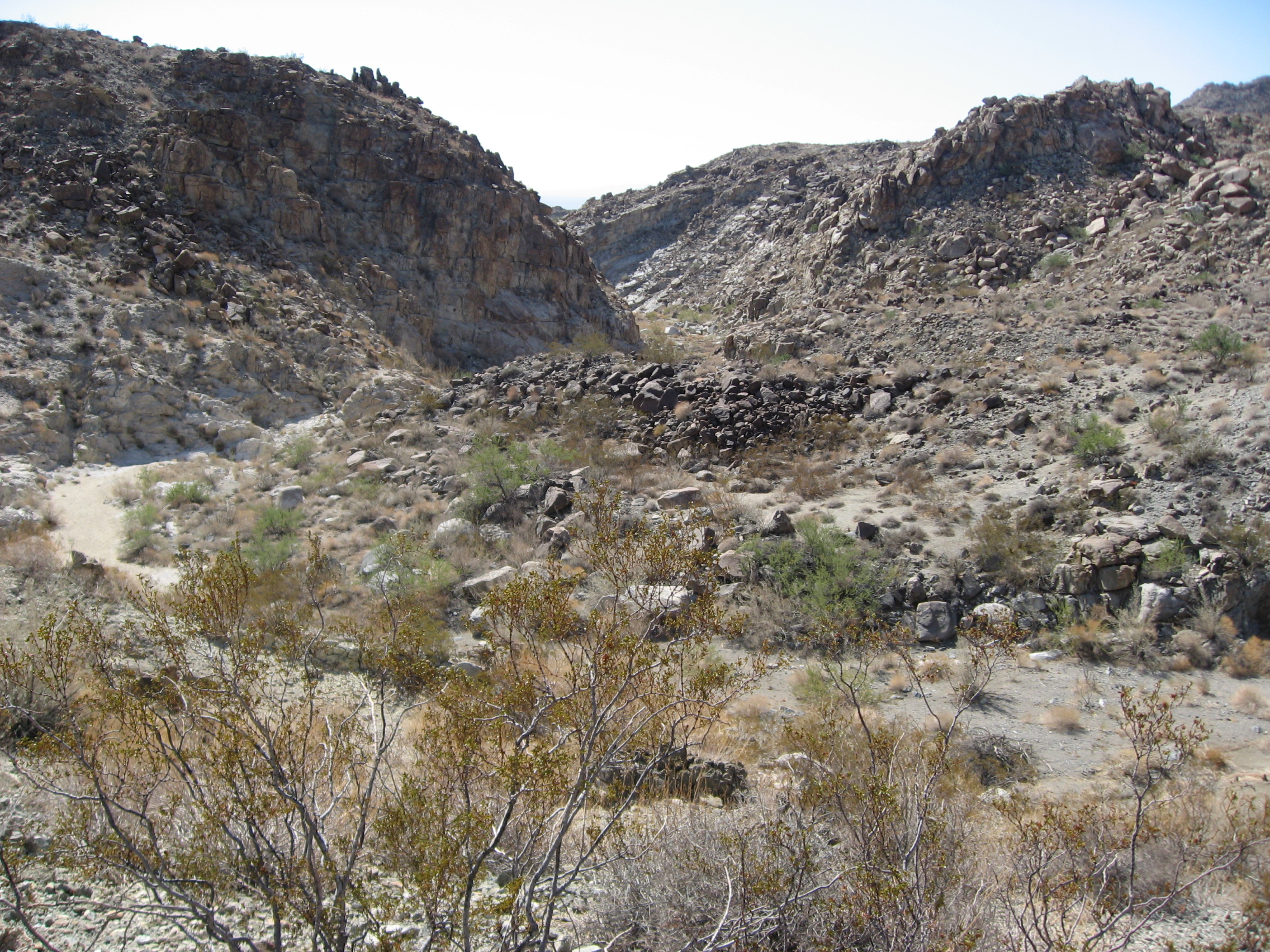 Park Photo