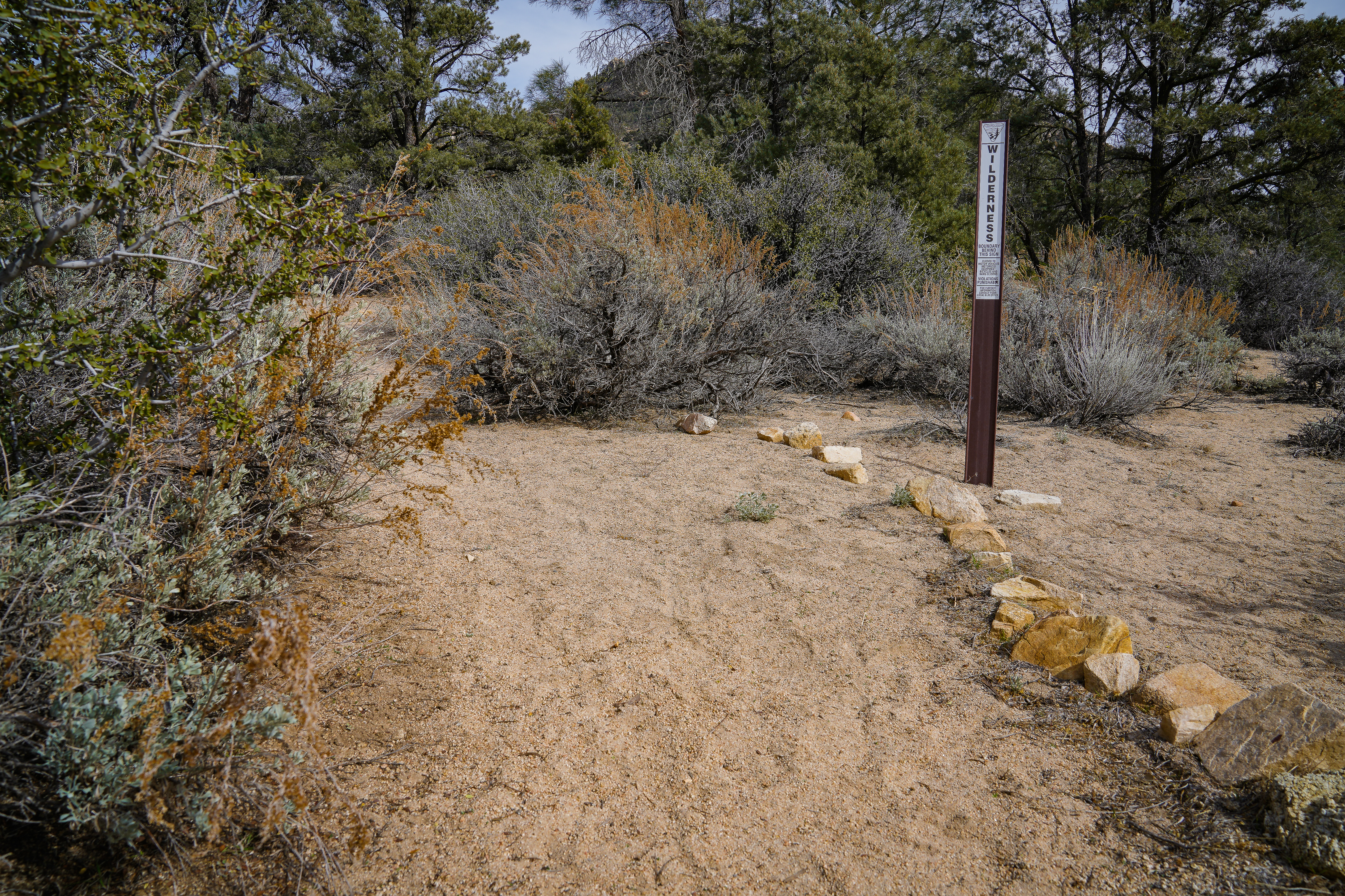 Park Photo