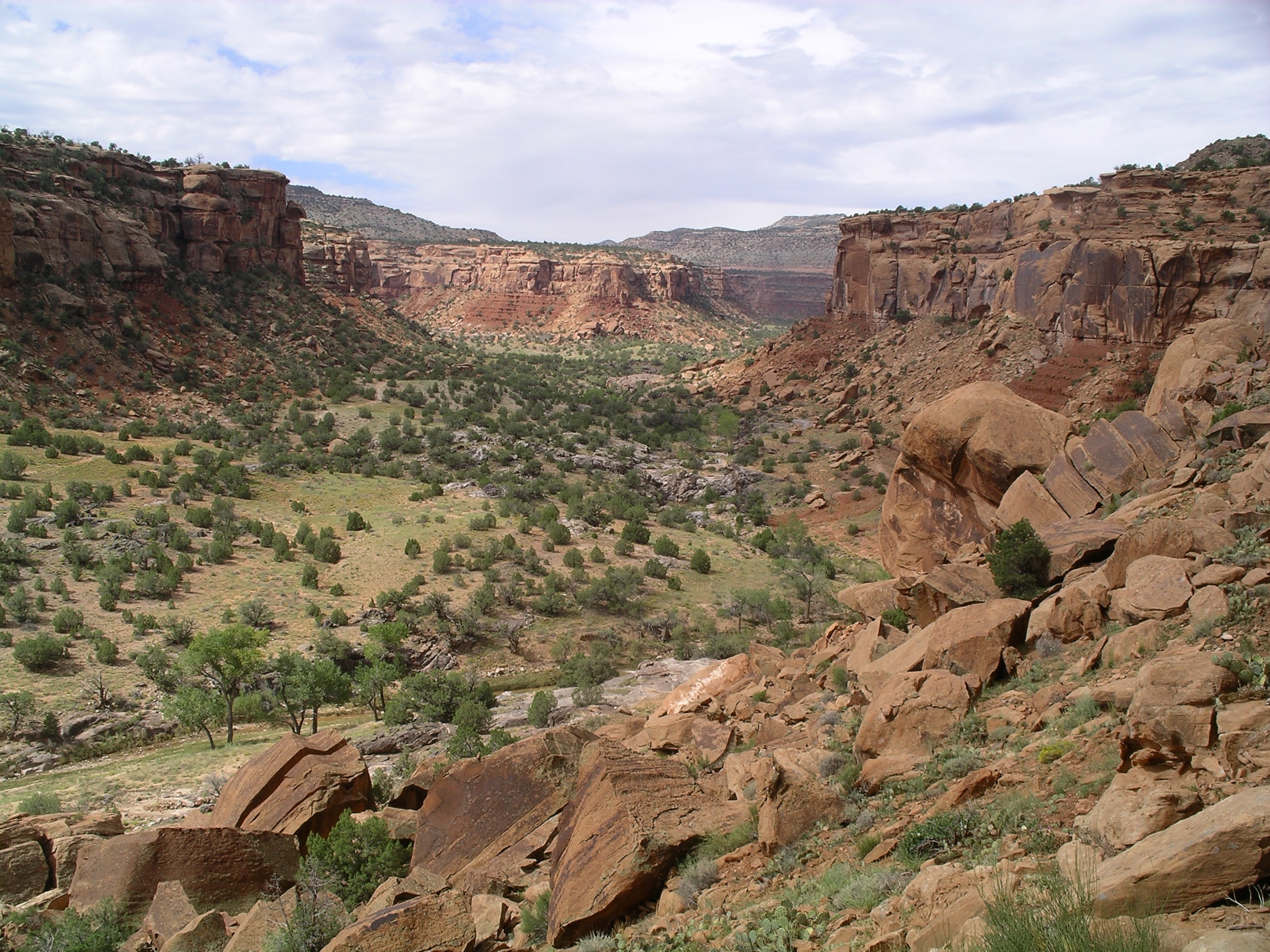 Park Photo