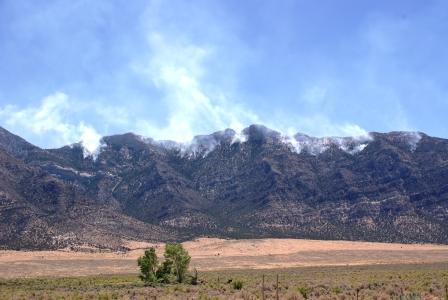 Park Photo