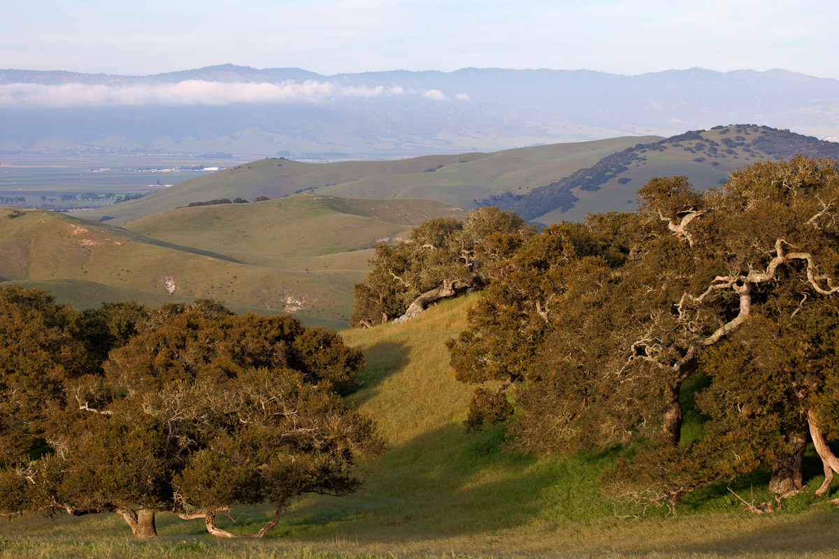 Park Photo