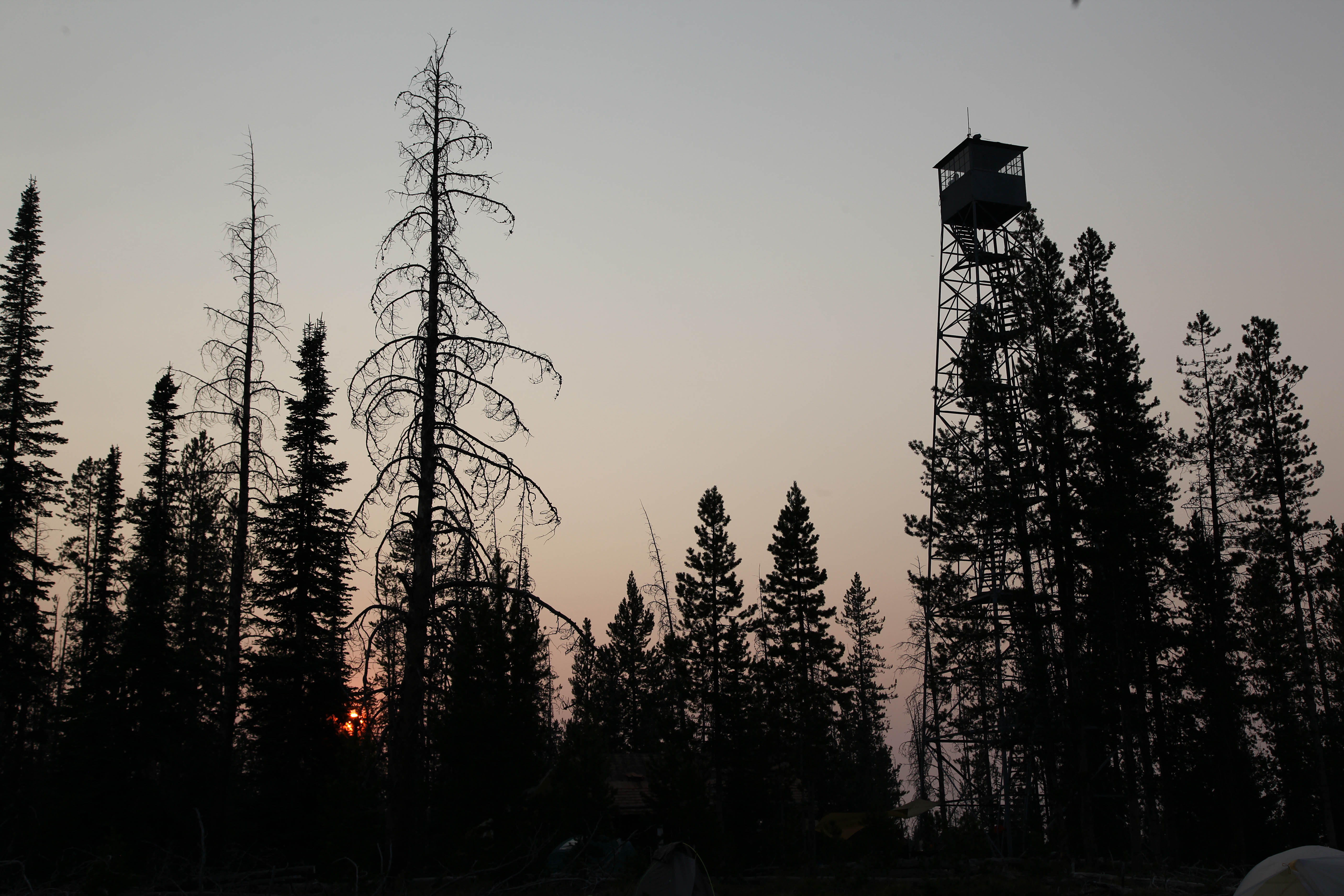 Park Photo