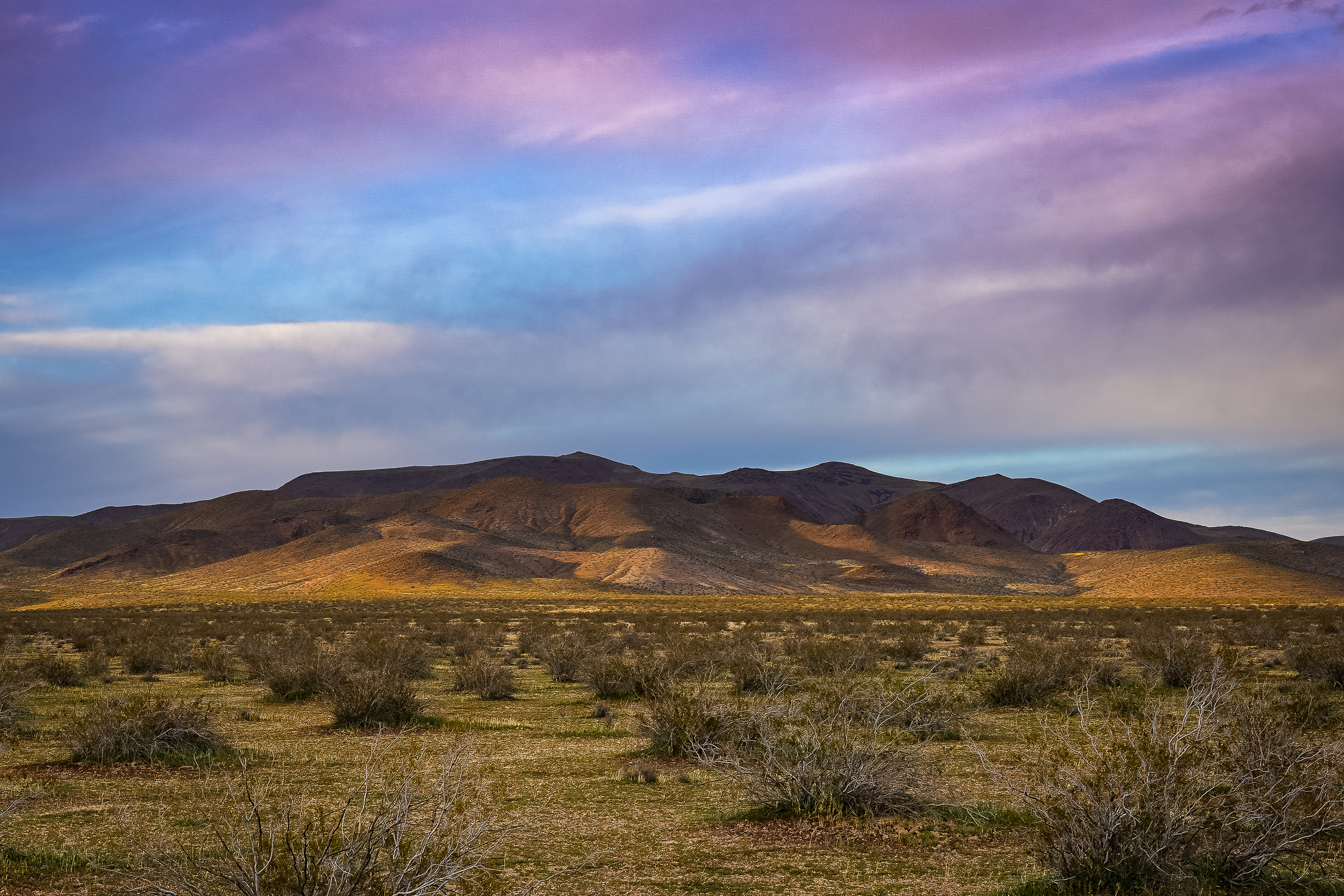 Golden Valley Wilderness