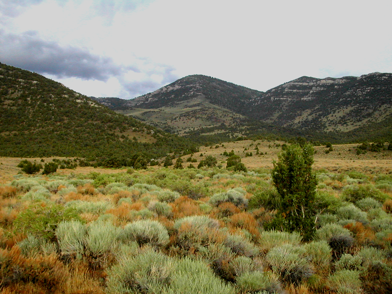 Park Photo