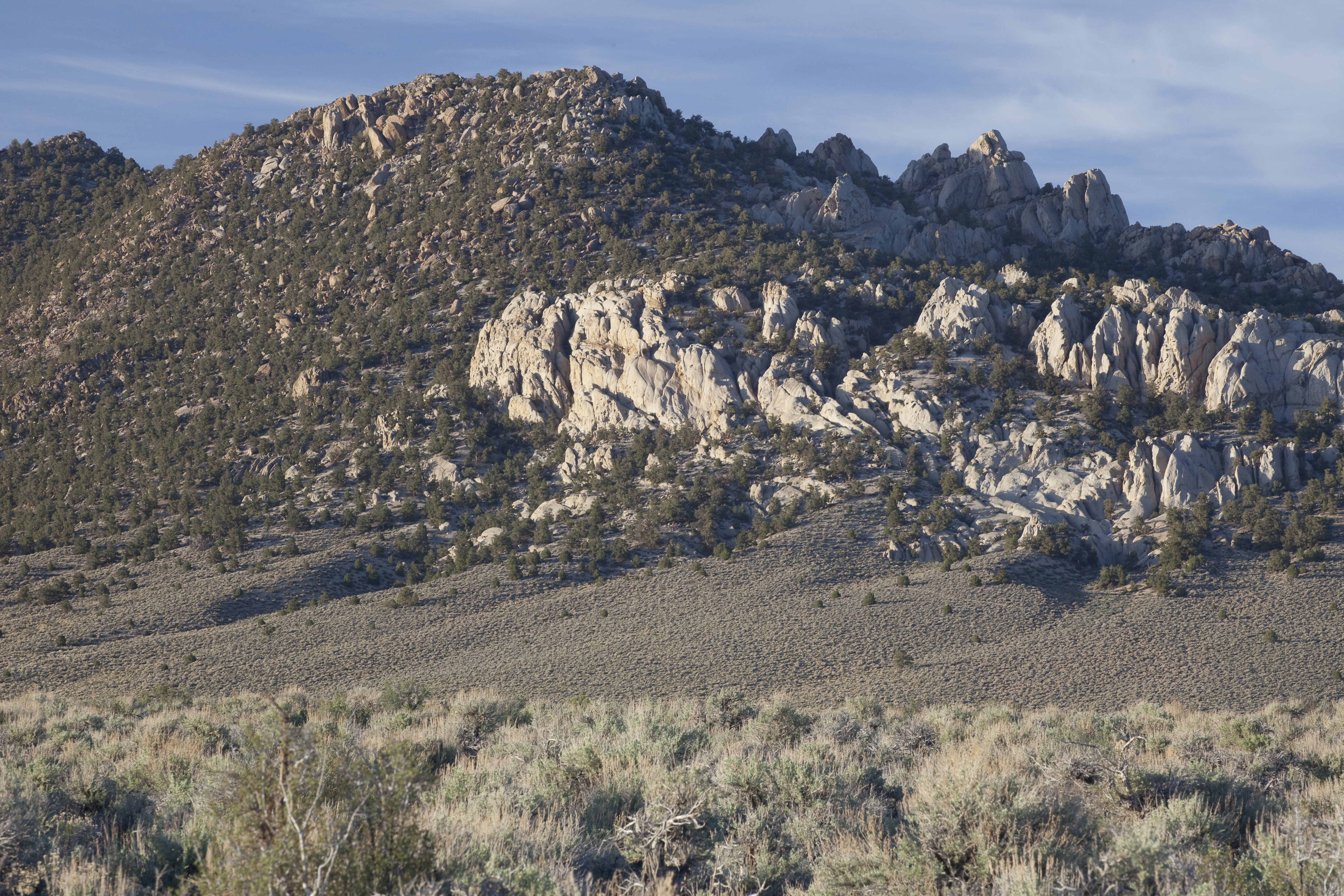 Granite Mountain Wilderness