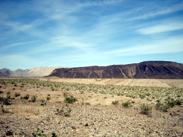 Park Photo