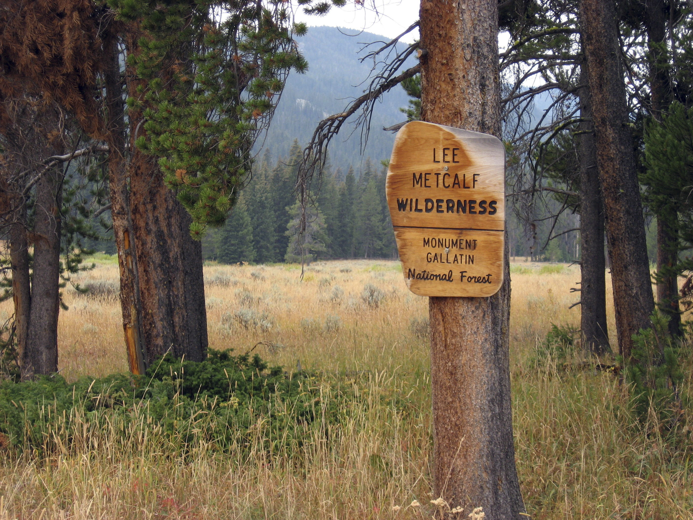 Park Photo