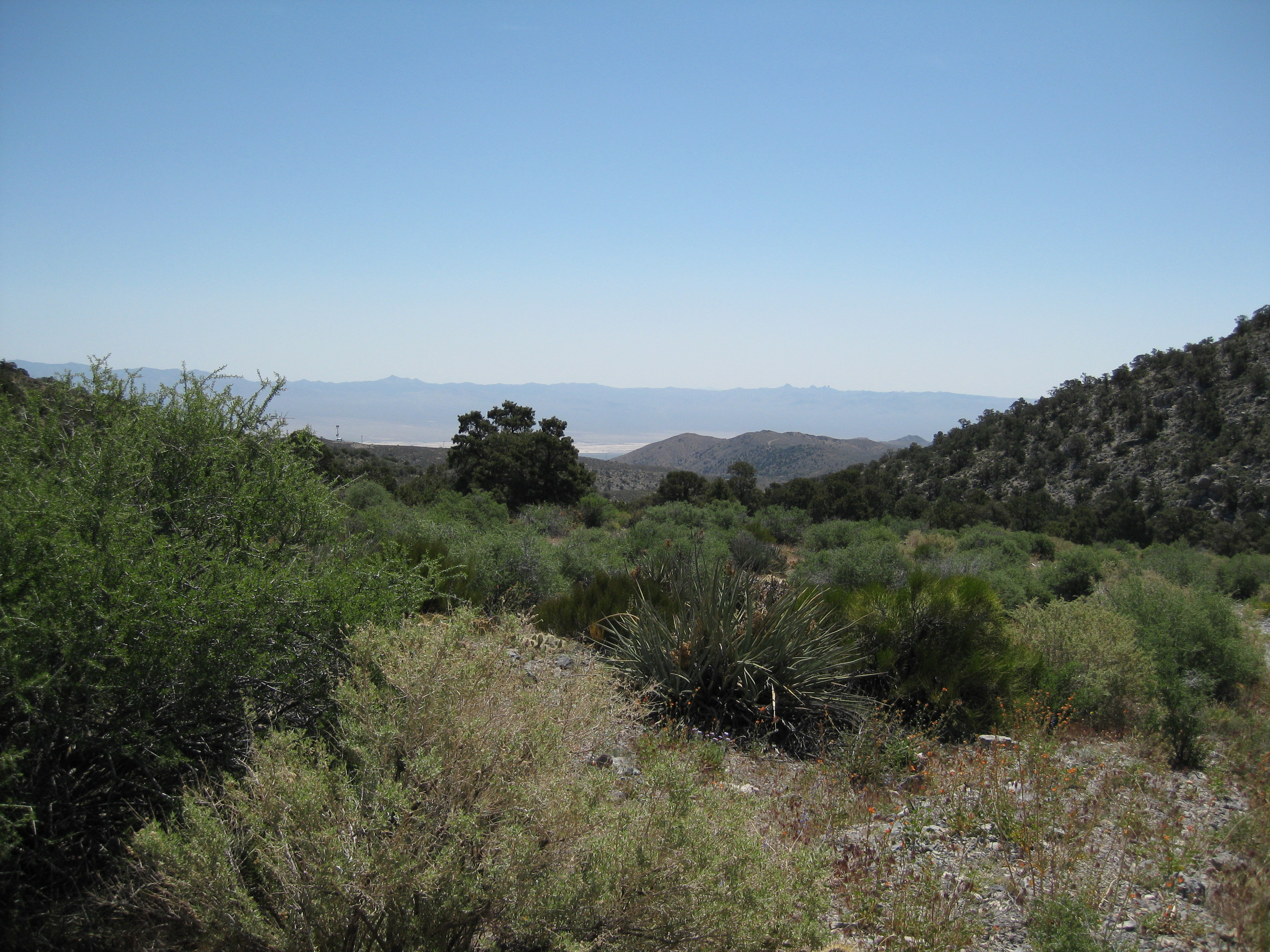 Park Photo