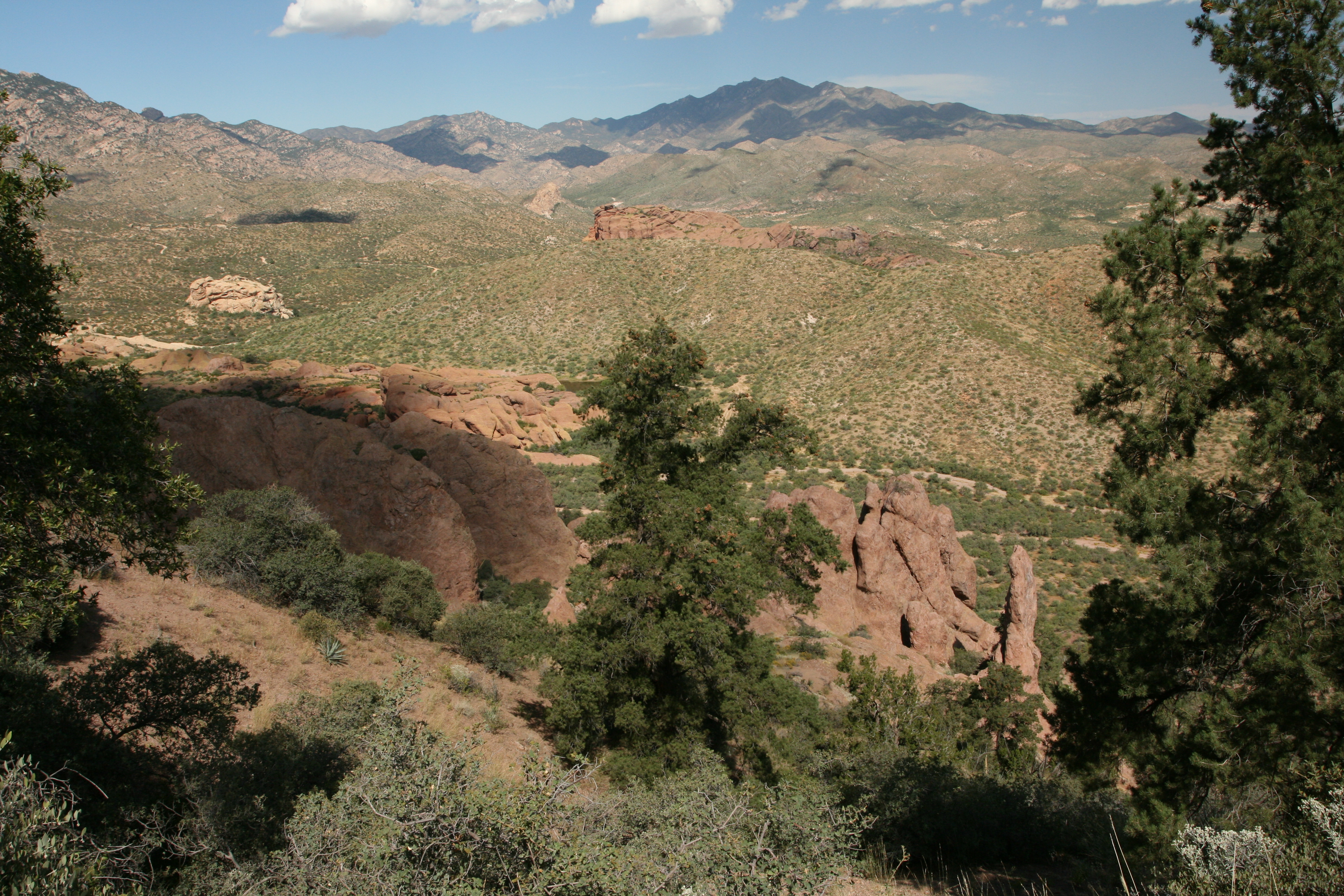 Park Photo
