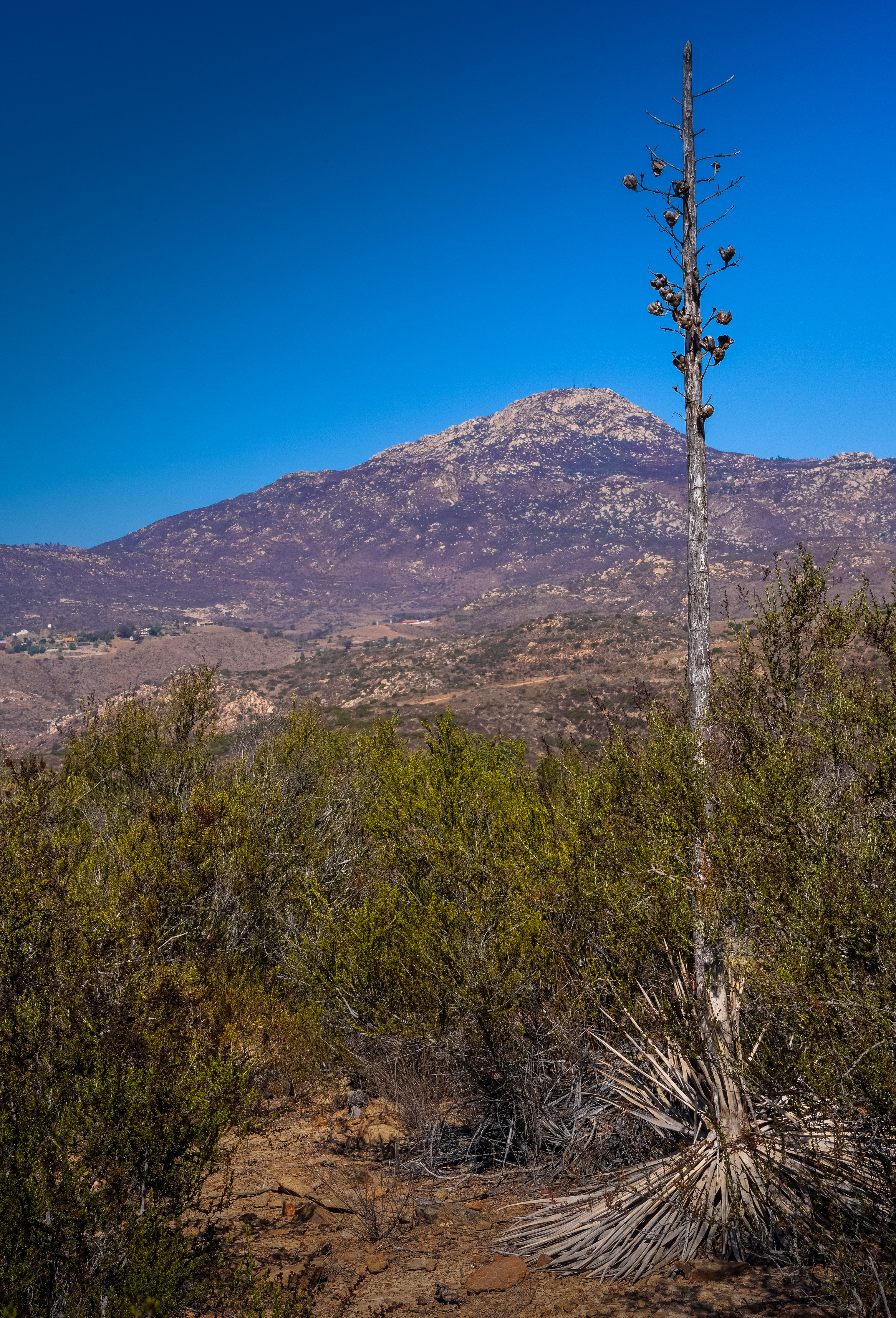 Otay Mountain Wilderness