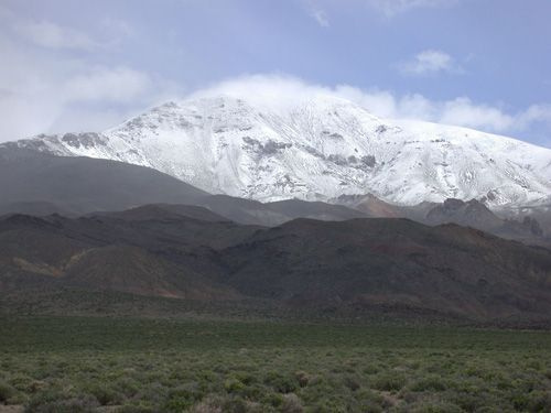 Park Photo