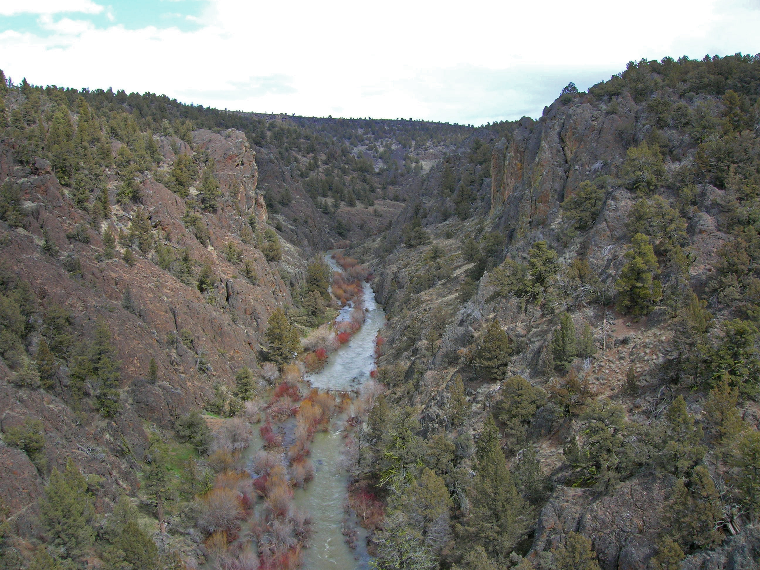Park Photo