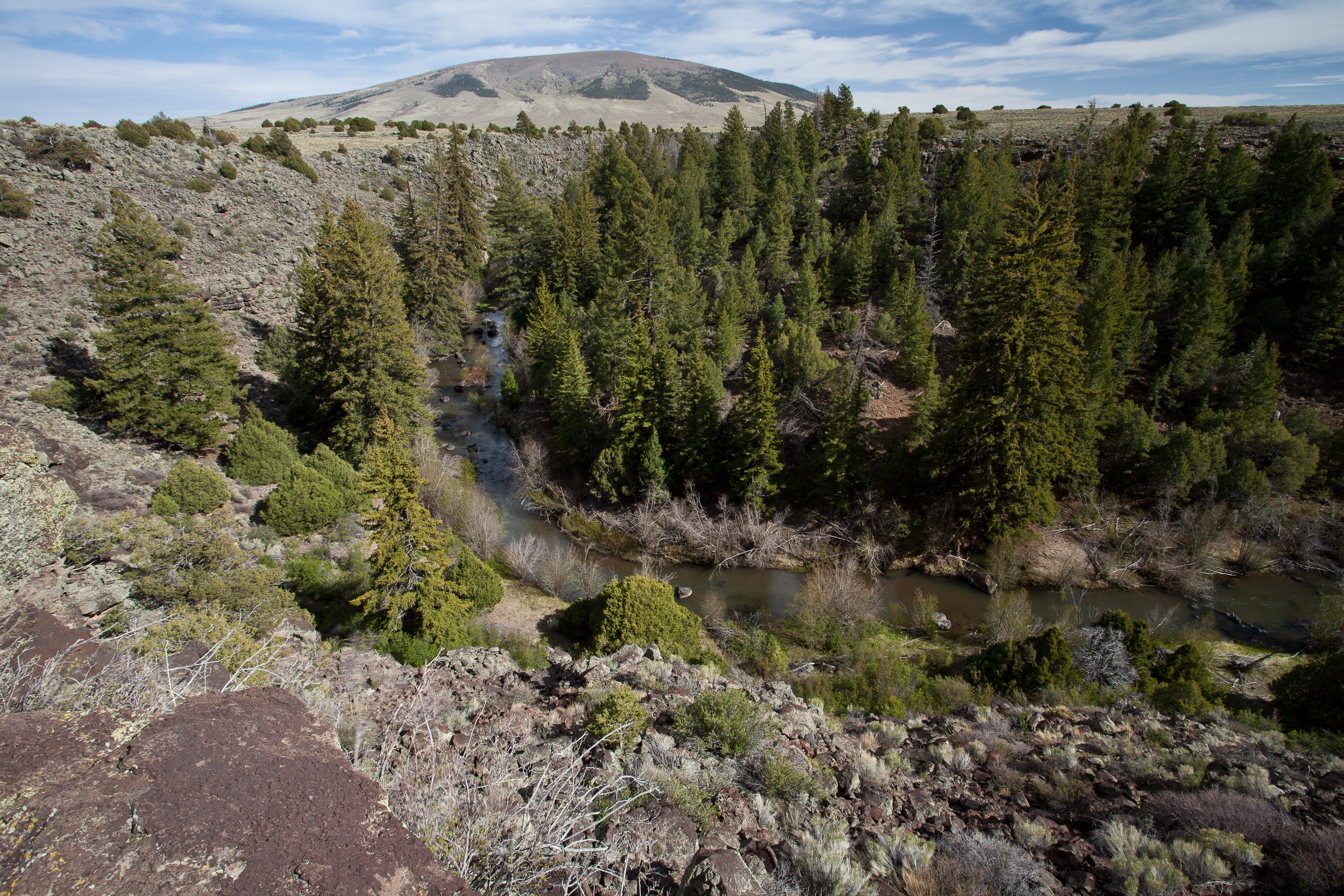 Rìo San Antonio Wilderness