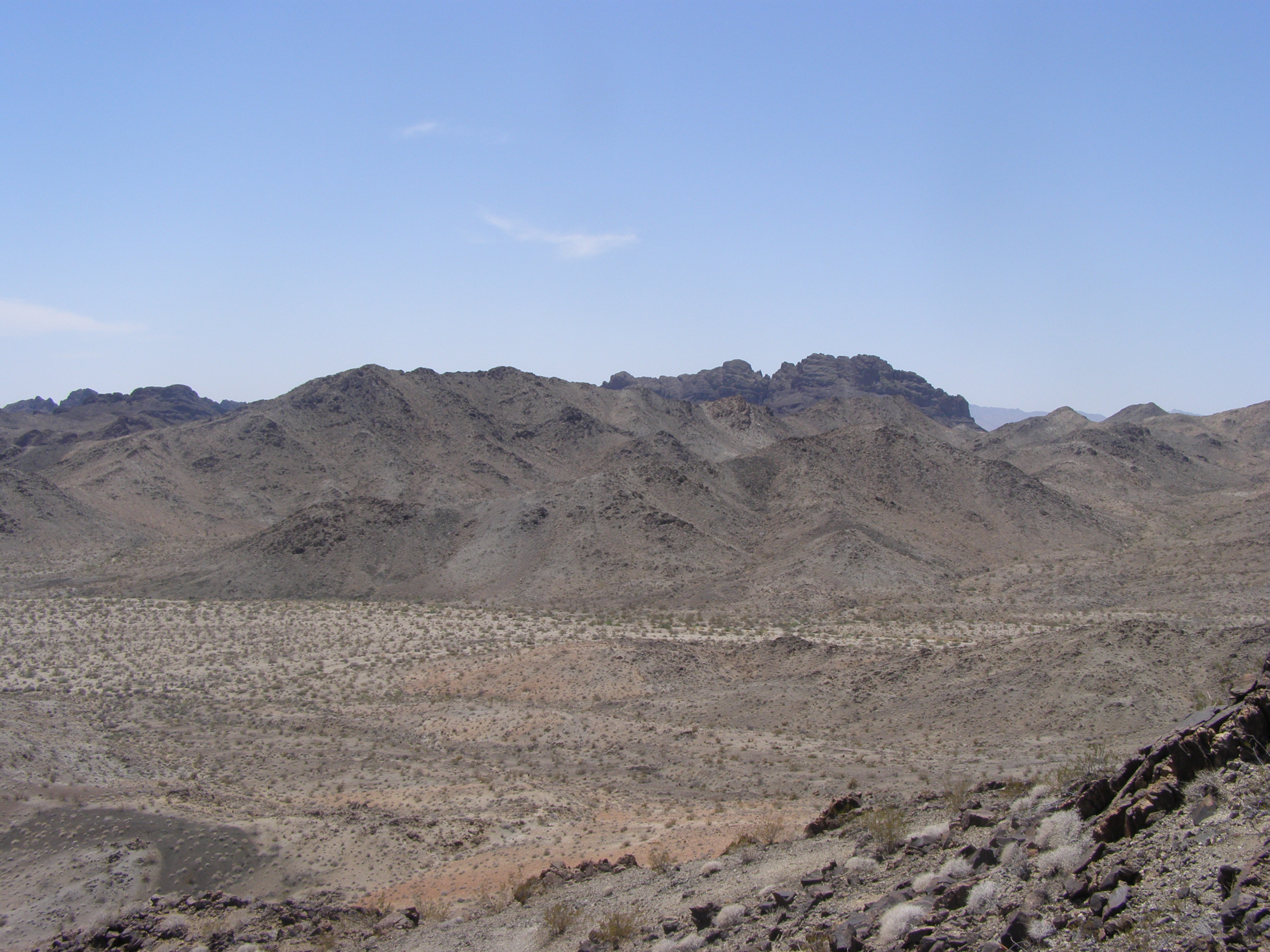 Park Photo