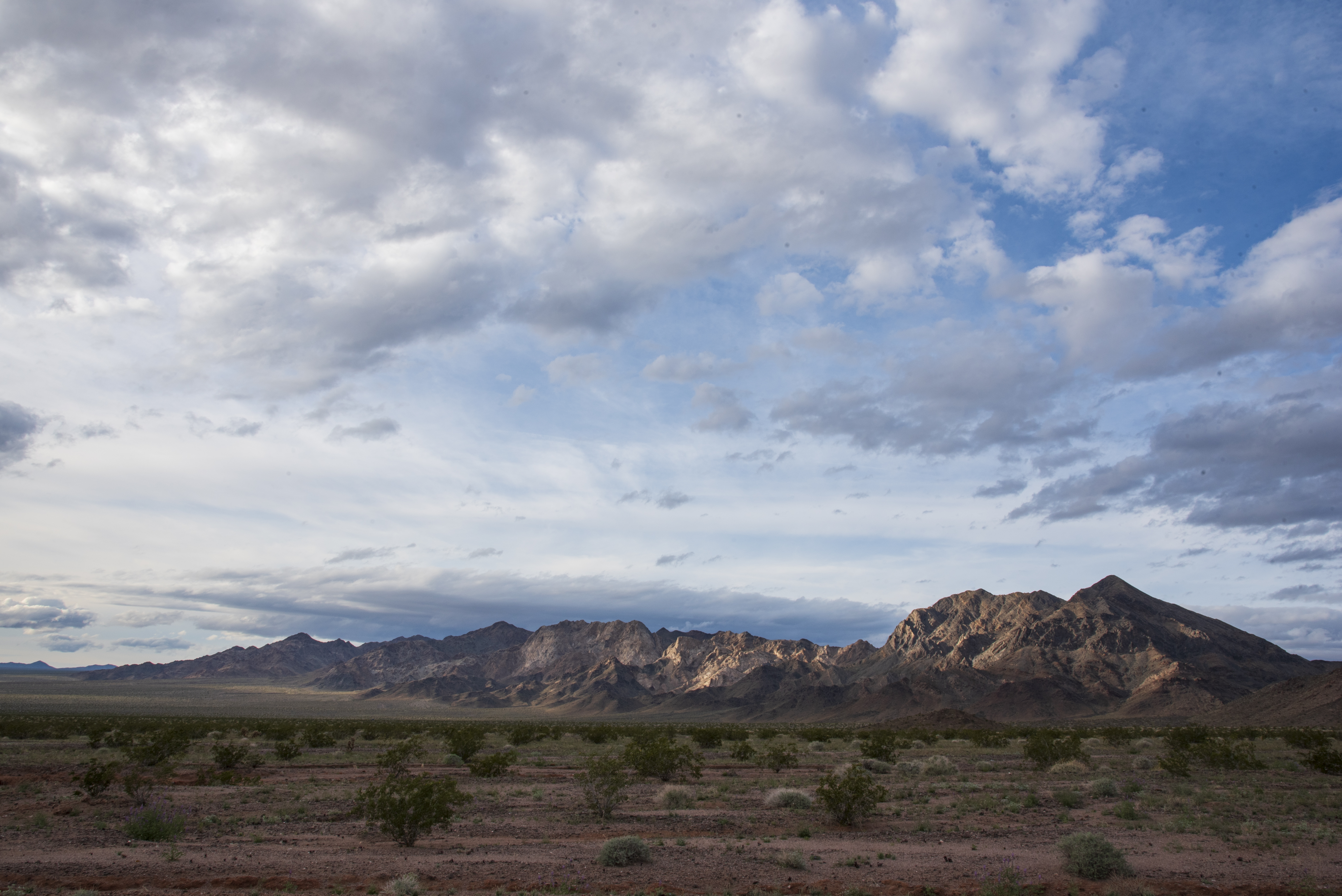 Park Photo