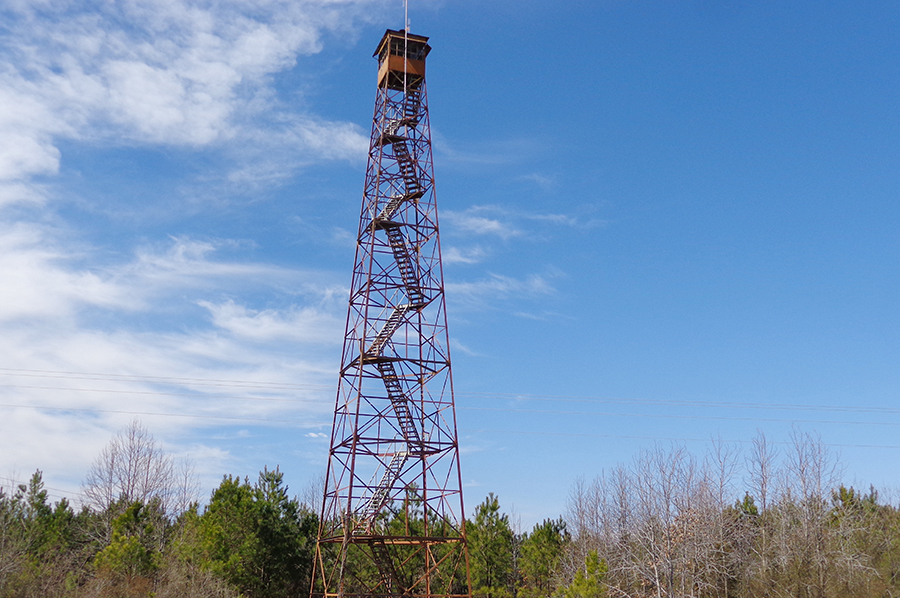 Park Photo
